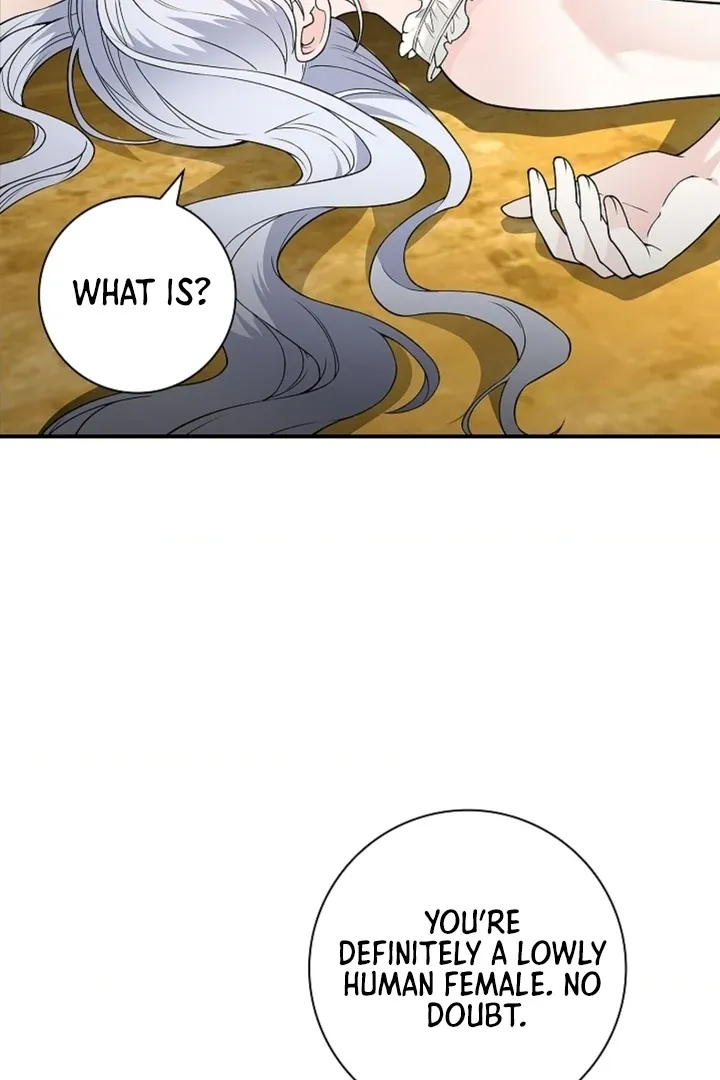 The Saintess's Petals Become Wet Chapter 17 page 52 - 