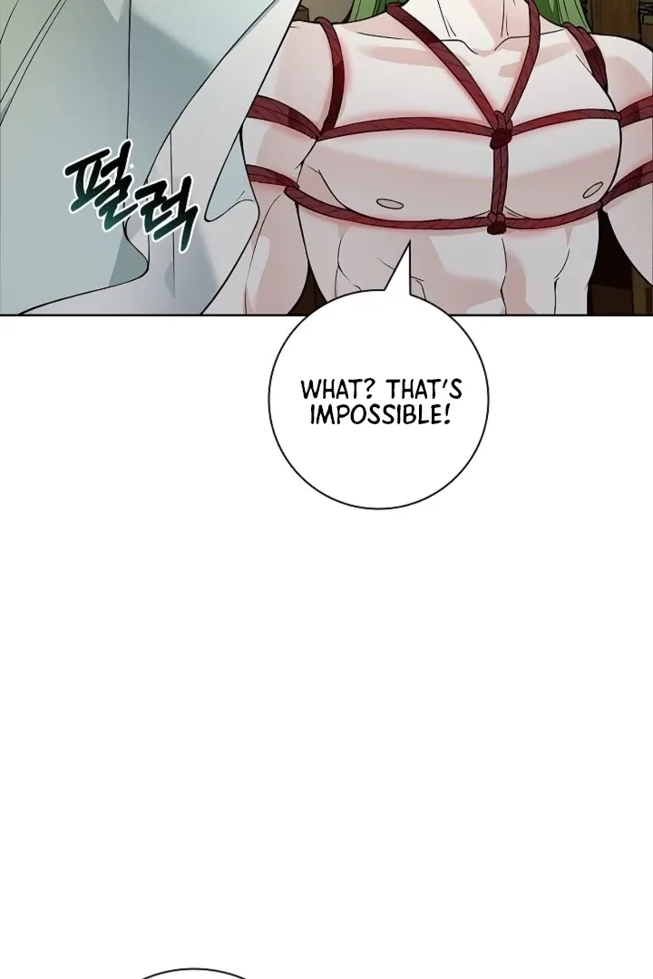 The Saintess's Petals Become Wet Chapter 18 page 25 - 