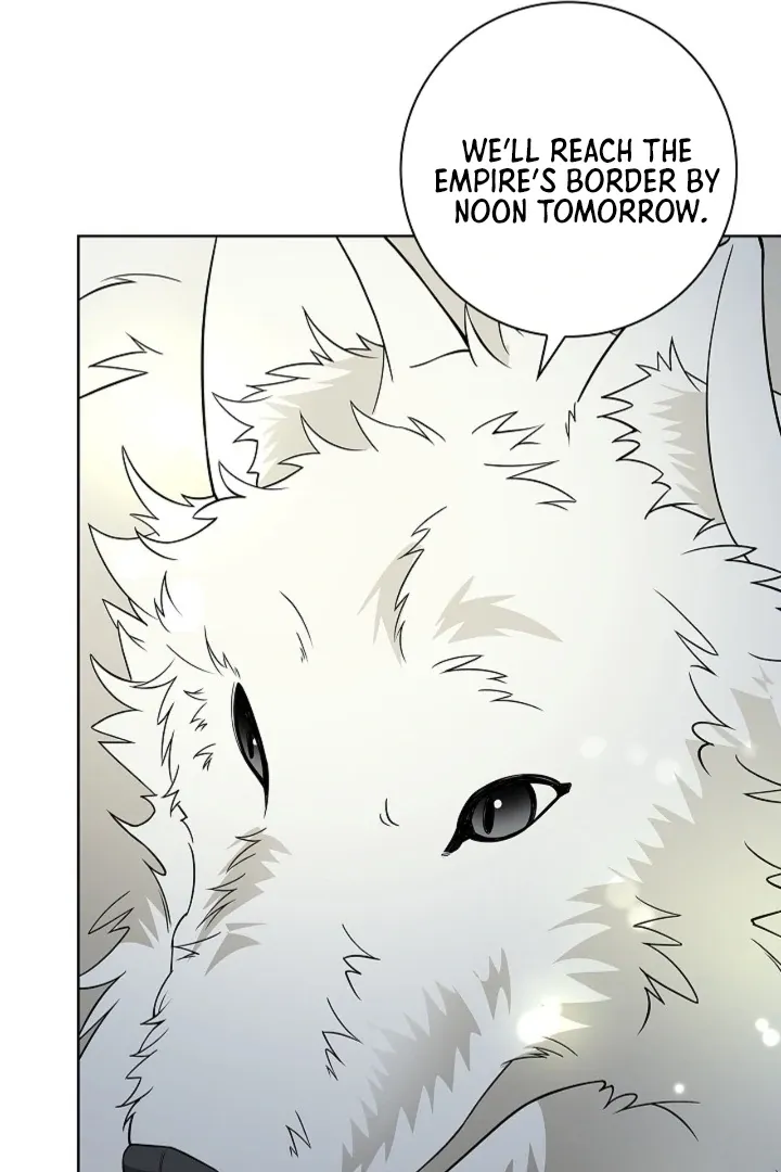 The Saintess's Petals Become Wet Chapter 19 page 43 - 