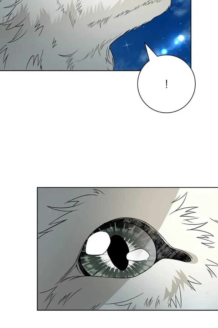 The Saintess's Petals Become Wet Chapter 19 page 53 - 