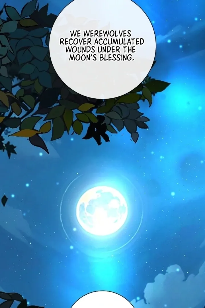 The Saintess's Petals Become Wet Chapter 19 page 66 - 