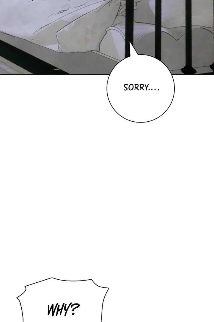 The Saintess's Petals Become Wet Chapter 27 page 15 - 