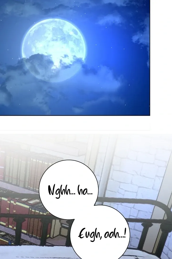 The Saintess's Petals Become Wet Chapter 27 page 33 - 