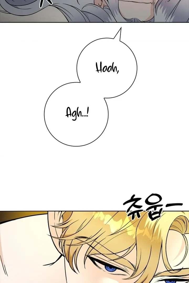 The Saintess's Petals Become Wet Chapter 28 page 44 - 