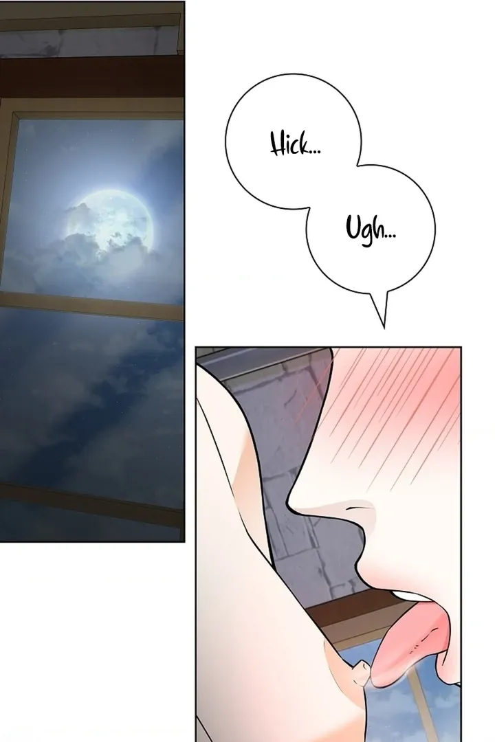 The Saintess's Petals Become Wet Chapter 29 page 28 - 