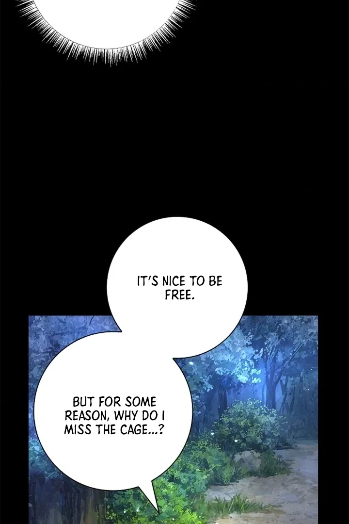 The Saintess's Petals Become Wet Chapter 30 page 23 - 