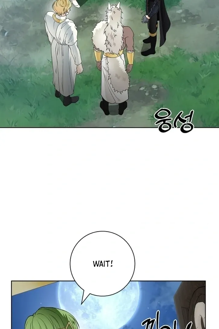 The Saintess's Petals Become Wet Chapter 31 page 77 - 