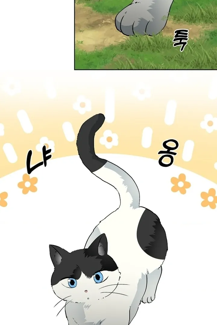The Saintess's Petals Become Wet Chapter 32 page 78 - 