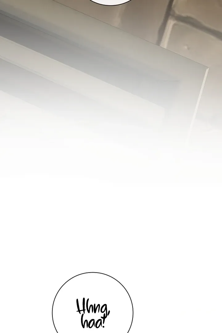 The Saintess's Petals Become Wet Chapter 39 page 70 - 