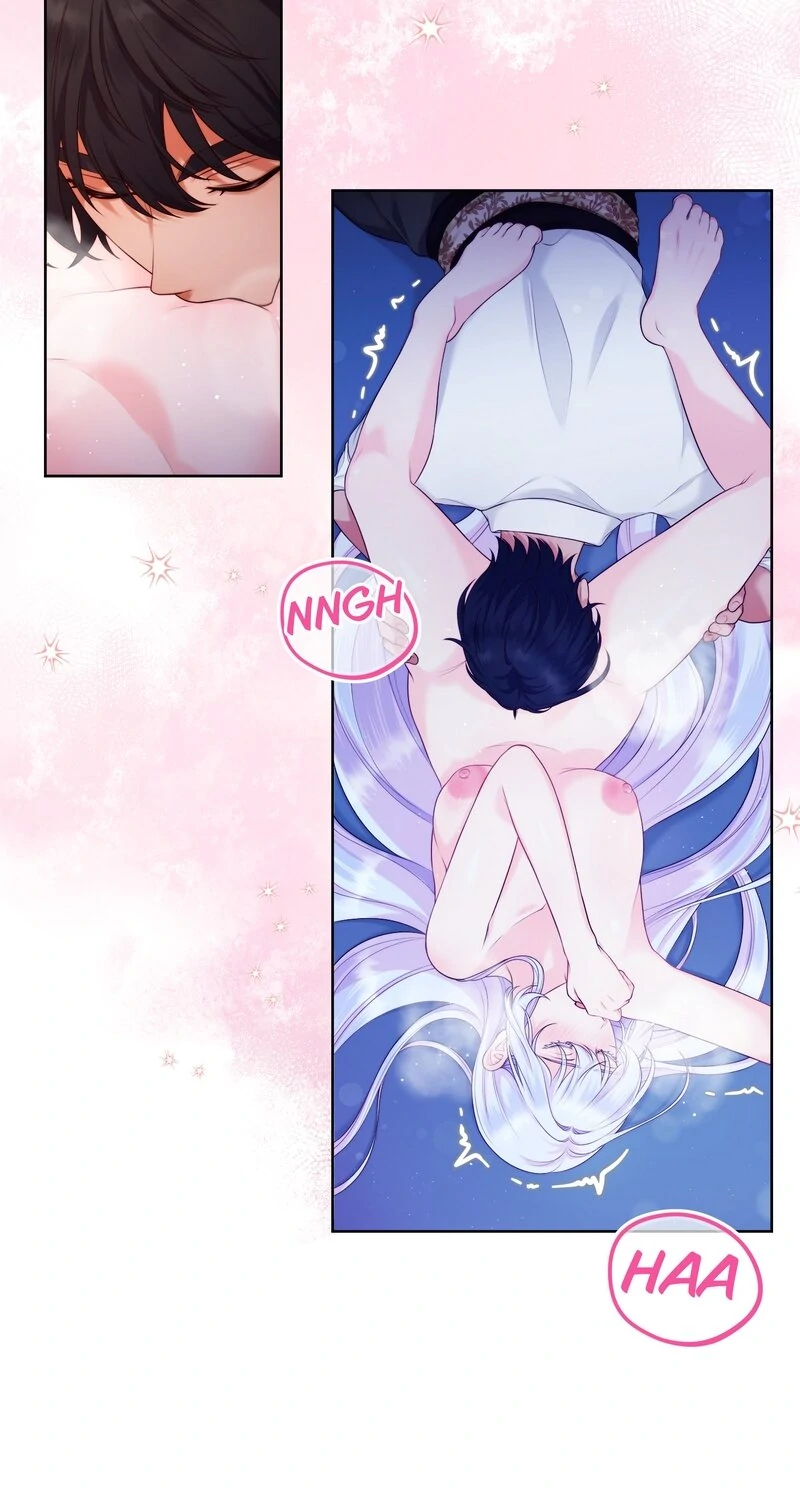 The Saintess' Secret Night Chapter 49 page 35 - 