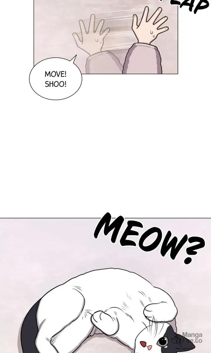 The Script Chapter 19 page 21 - 