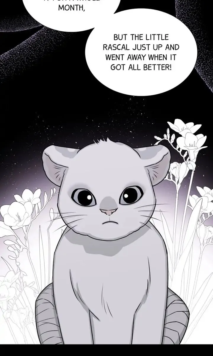 The Script Chapter 19 page 68 - 