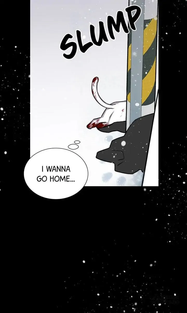 The Script Chapter 22 page 72 - 