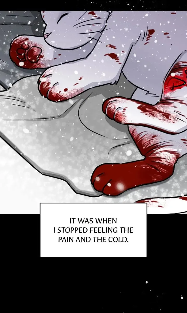 The Script Chapter 22 page 73 - 