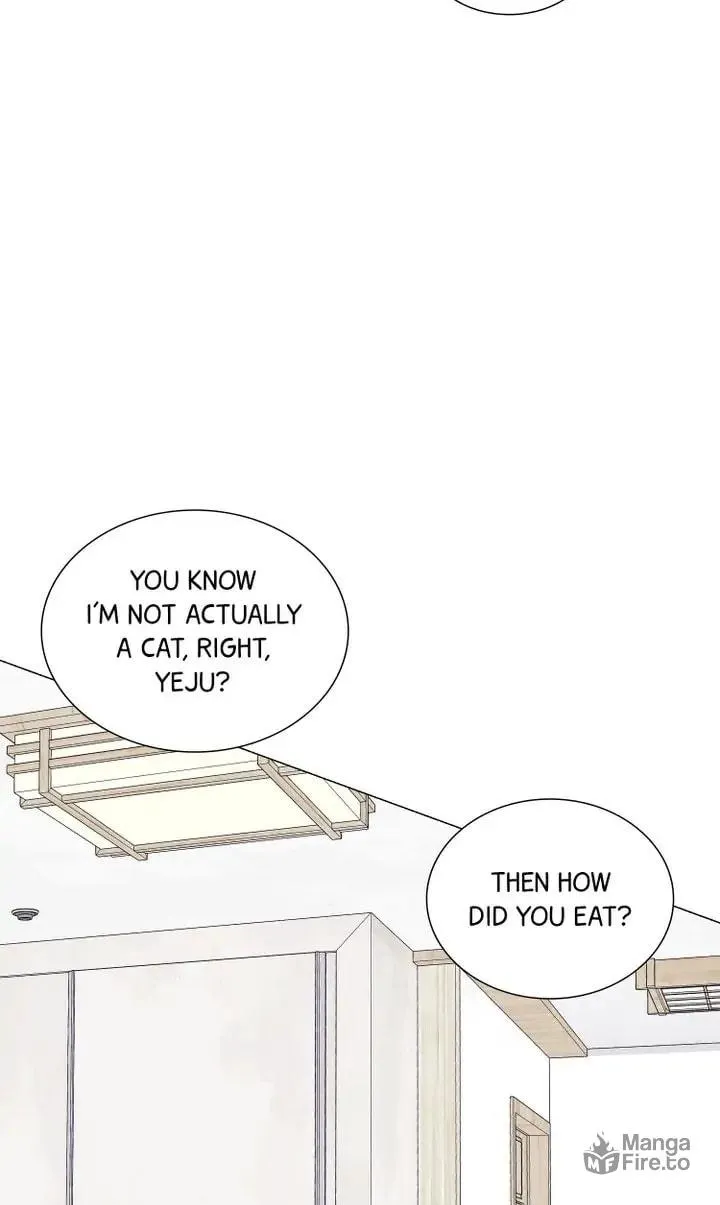 The Script Chapter 32 page 65 - 