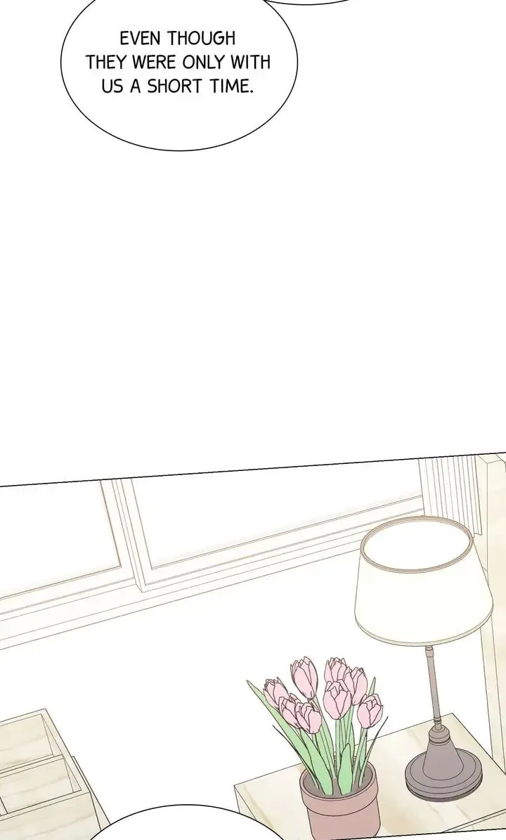 The Script Chapter 47 page 14 - 