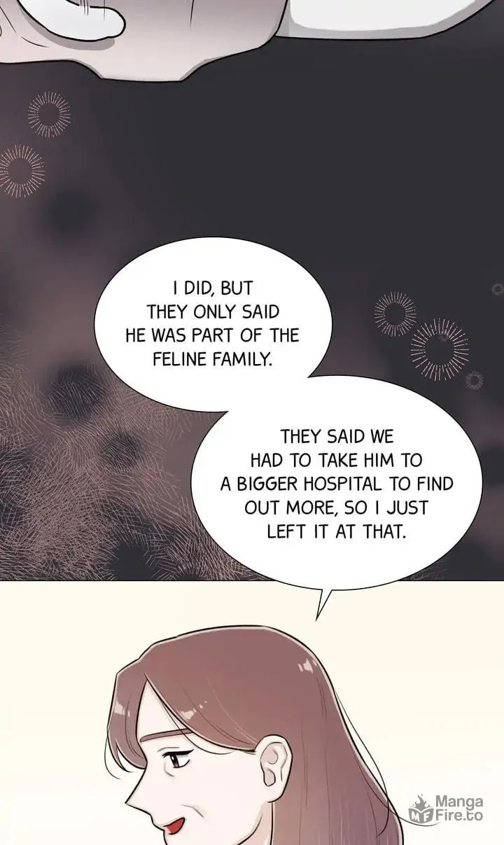 The Script Chapter 60 page 20 - 