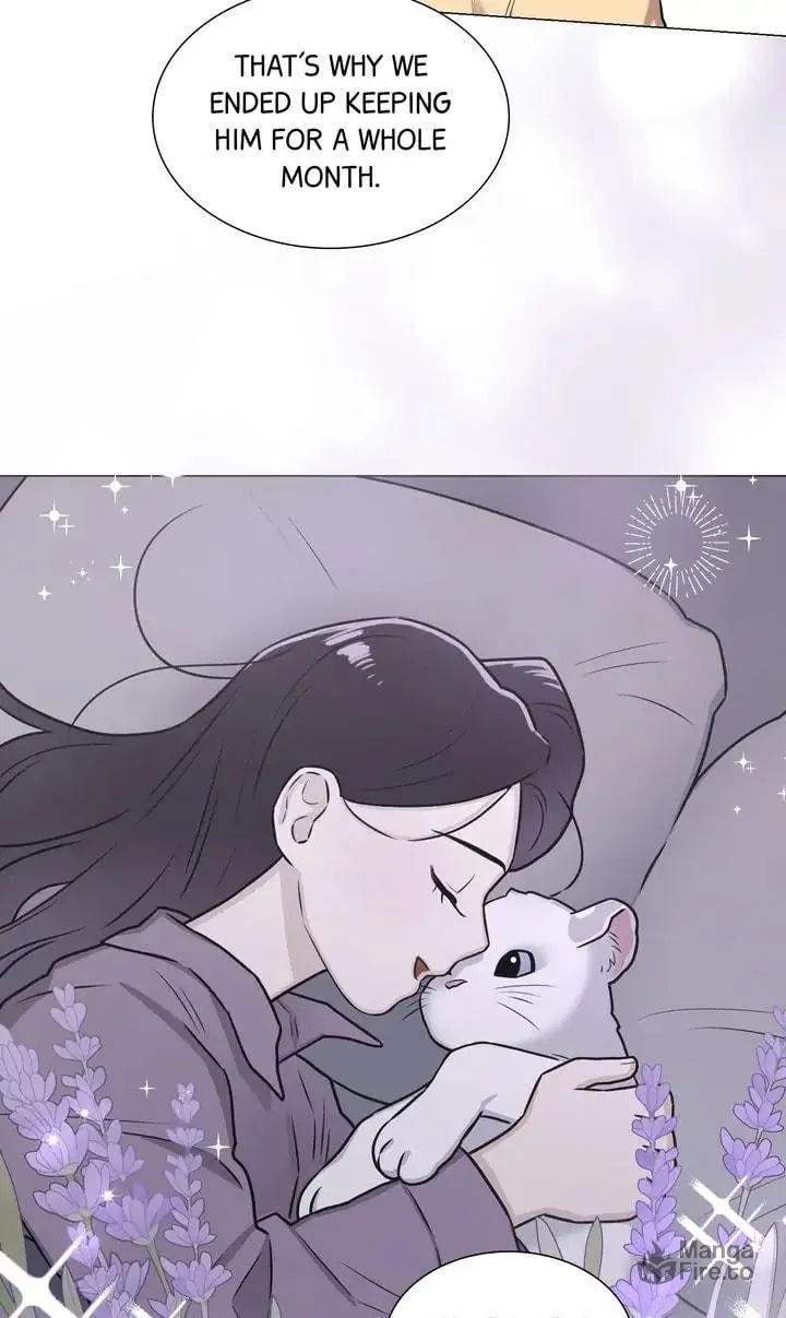 The Script Chapter 60 page 25 - 
