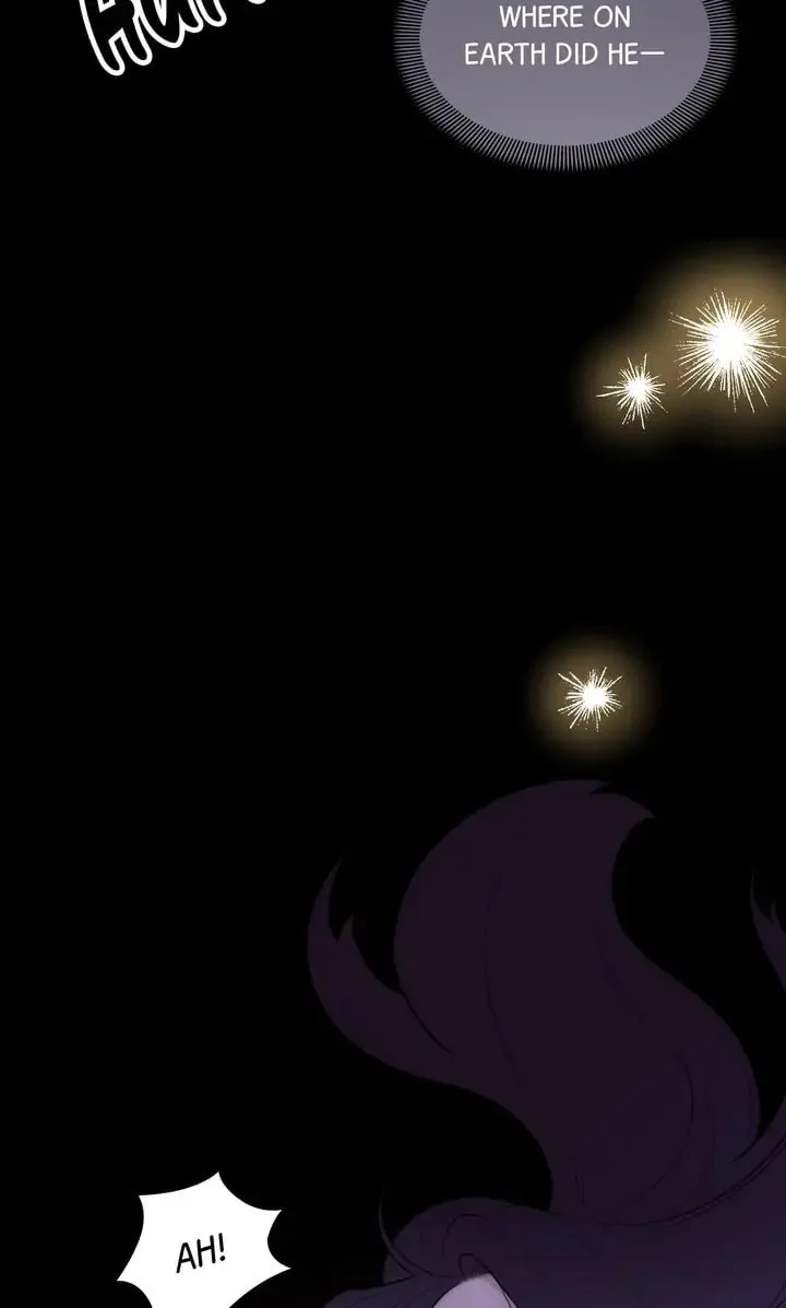 The Script Chapter 65 page 19 - 