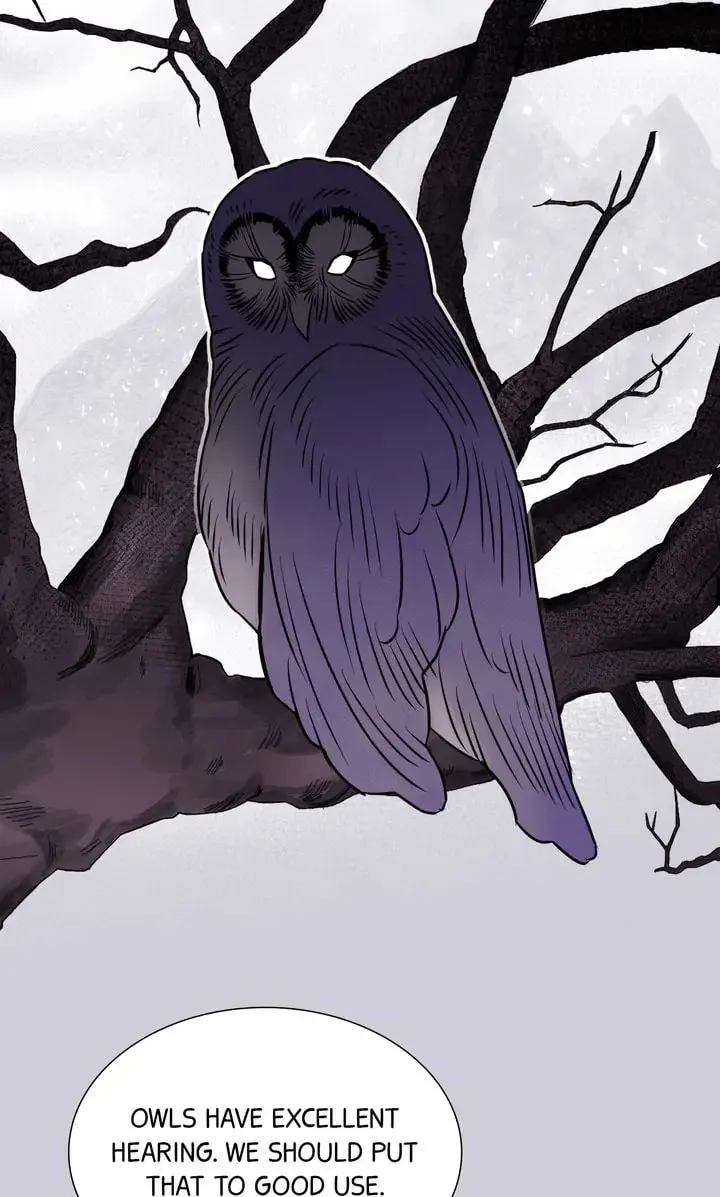 The Script Chapter 65 page 62 - 