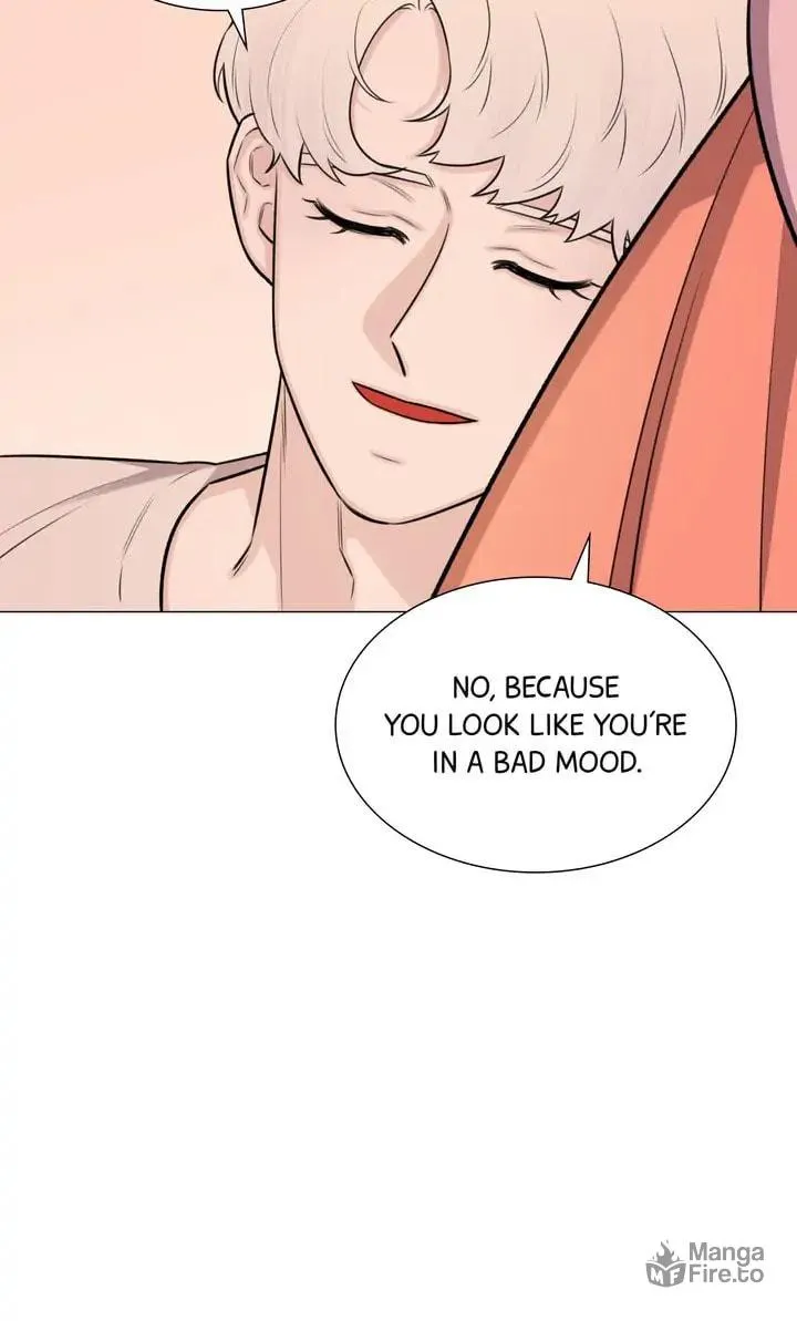 The Script Chapter 71 page 15 - 