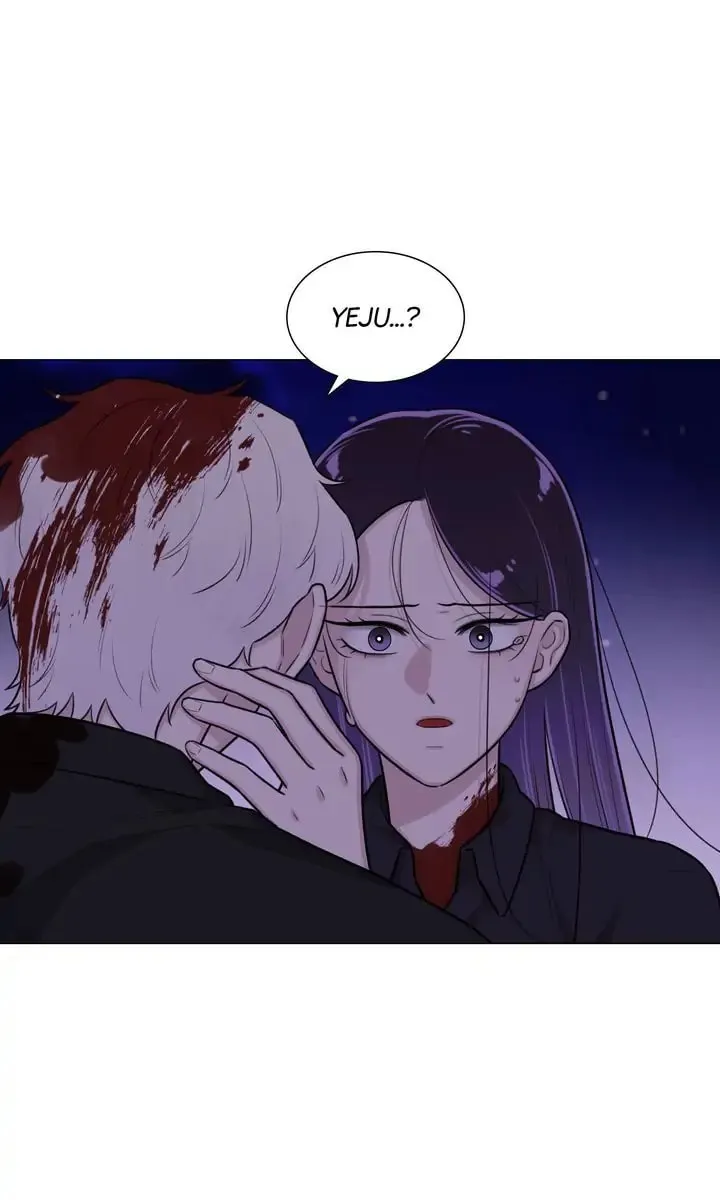 The Script Chapter 74 page 53 - 