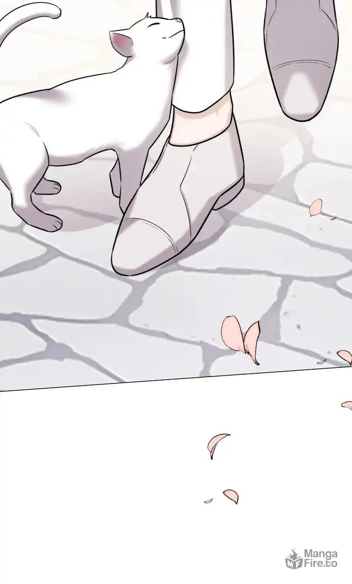 The Script Chapter 80 page 50 - 