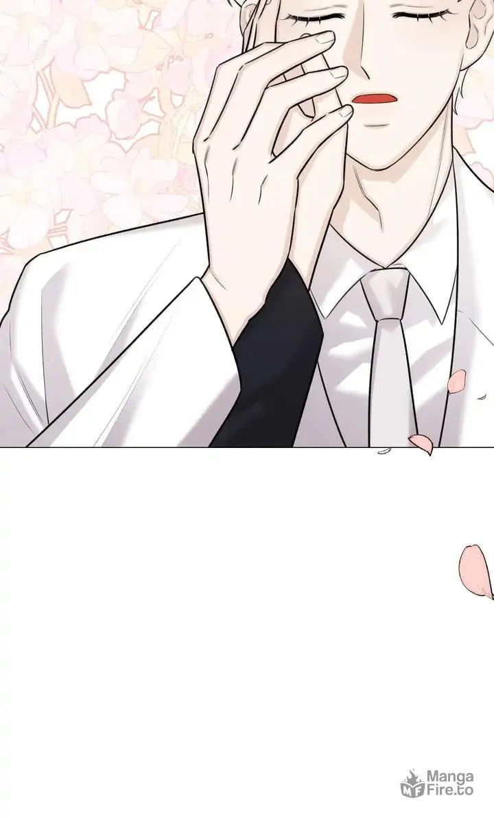 The Script Chapter 80 page 63 - 