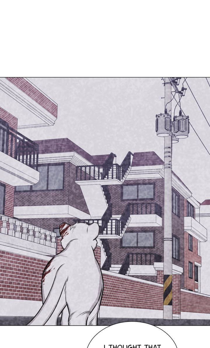 The Script Chapter 38 page 70 - 
