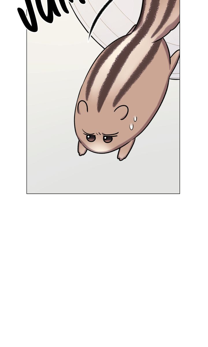 The Script Chapter 46 page 66 - 