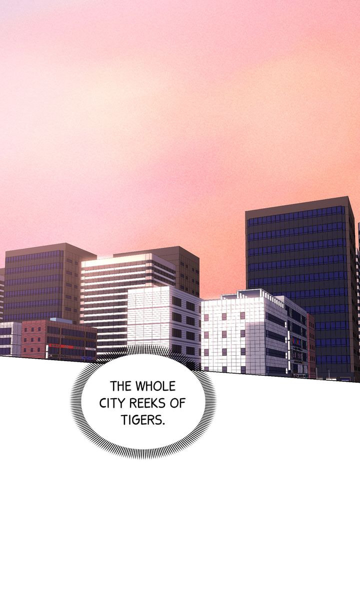 The Script Chapter 53 page 19 - 