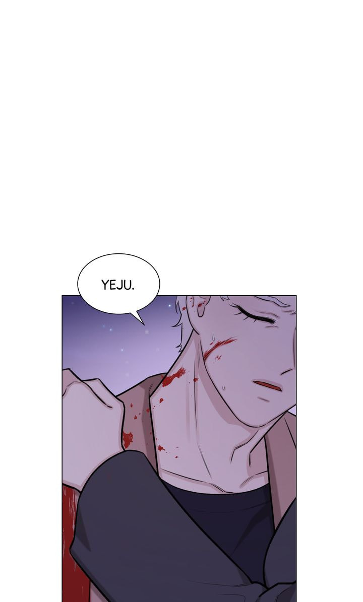 The Script Chapter 56 page 66 - 