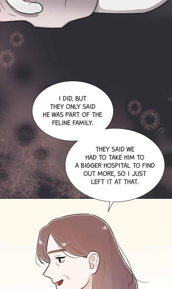 The Script Chapter 60 page 19 - 