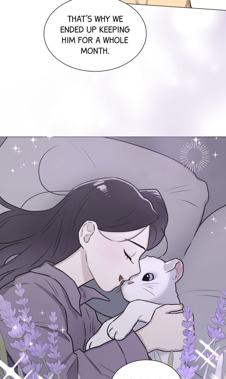 The Script Chapter 60 page 24 - 