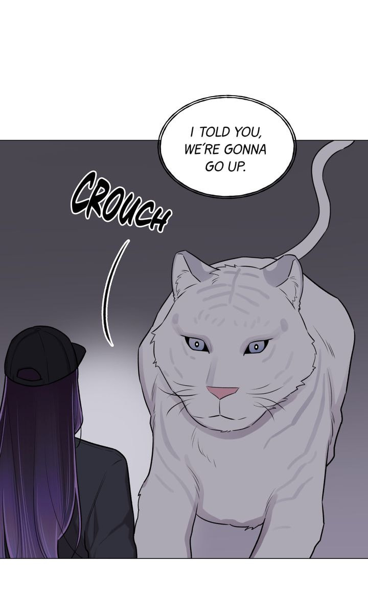 The Script Chapter 61 page 54 - 
