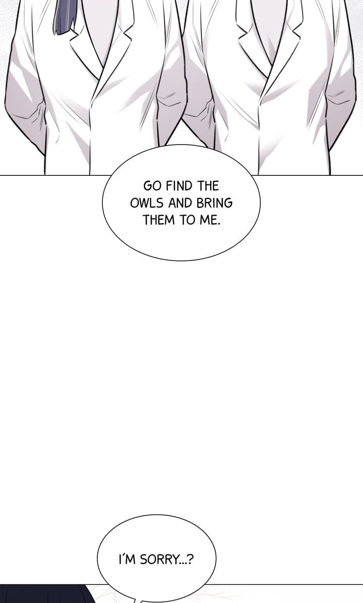 The Script Chapter 65 page 51 - 
