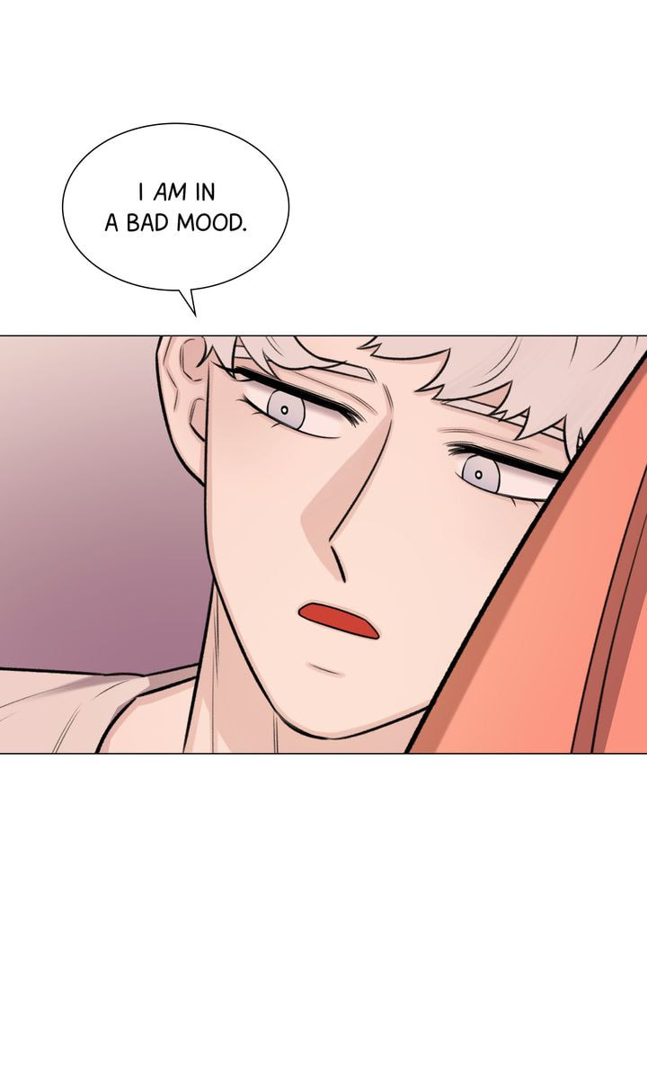 The Script Chapter 71 page 16 - 