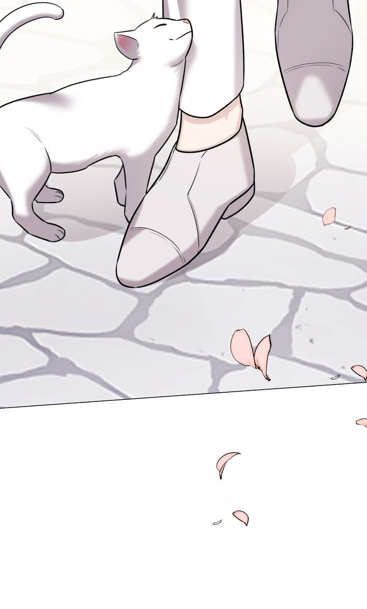 The Script Chapter 80 page 50 - 