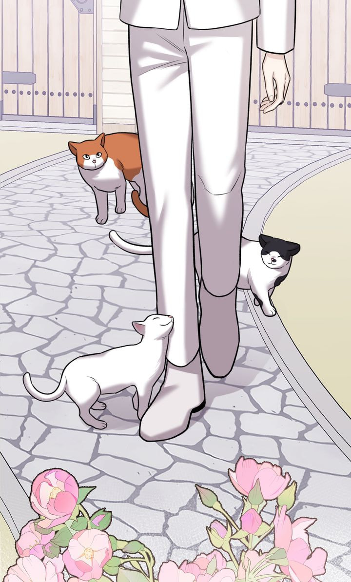 The Script Chapter 80 page 52 - 