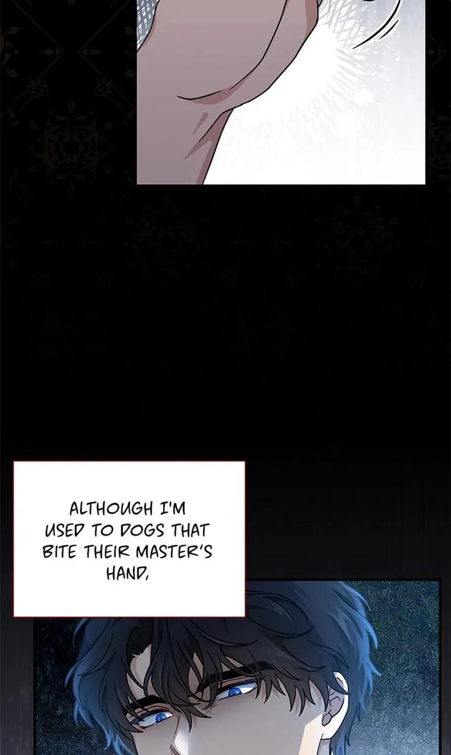 Read The Sea Captain