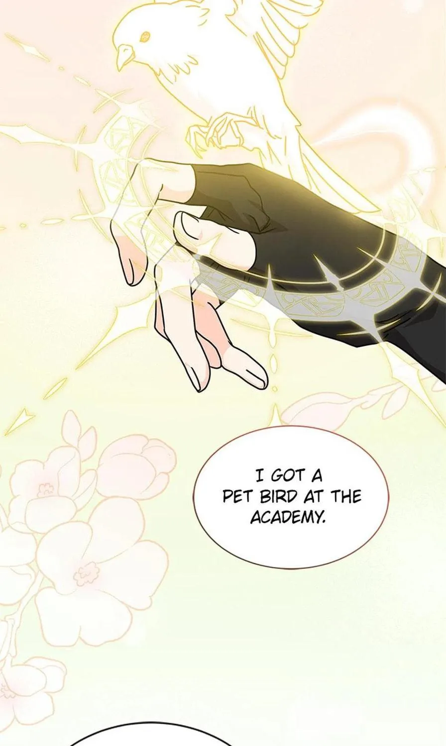 Read The Sea Captain