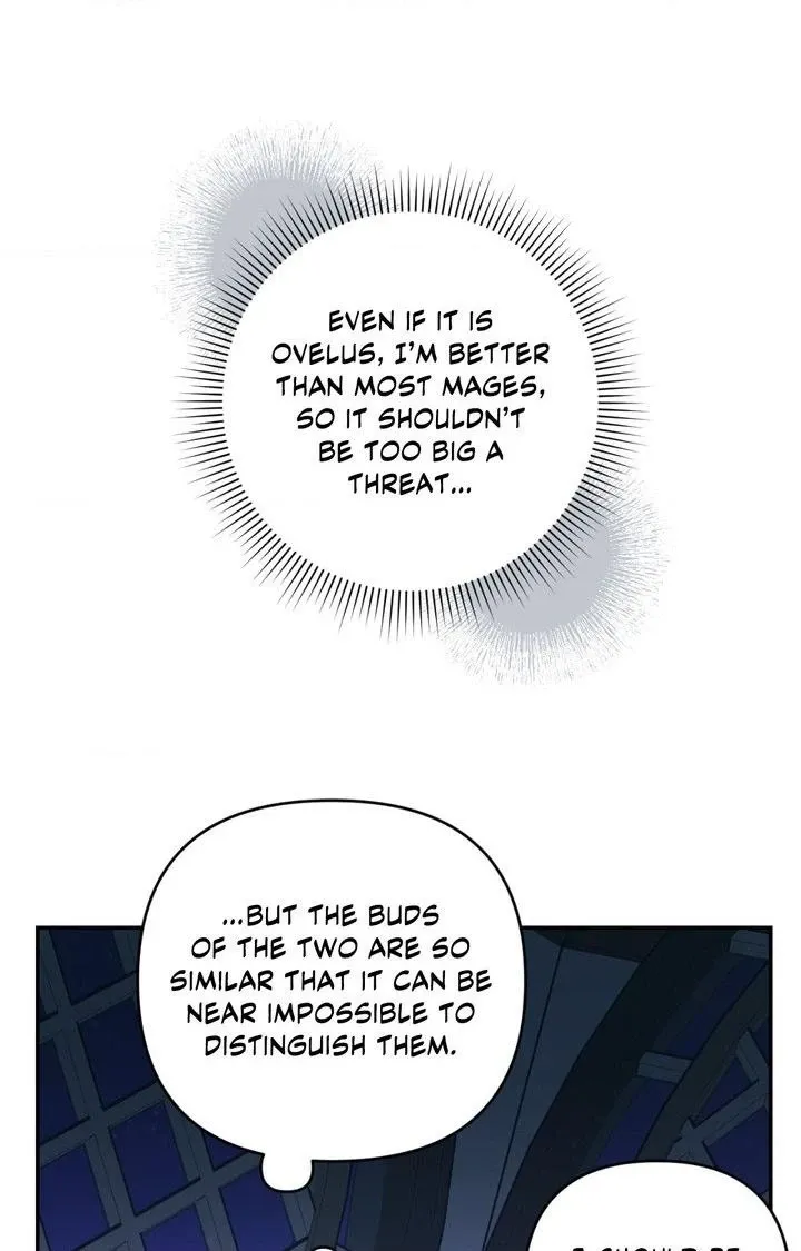 Read The Search for Alosha chapter 6 image 11 on Lezhin
