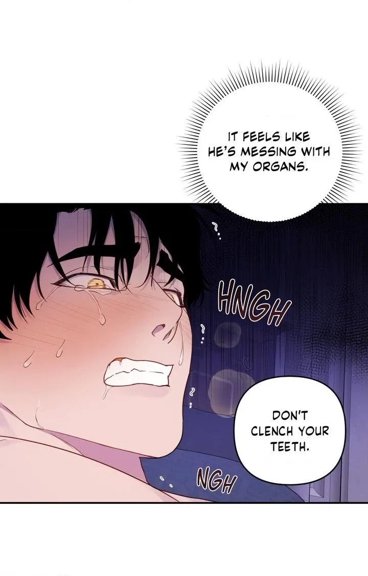 Read The Search for Alosha chapter 6 image 27 on Lezhin