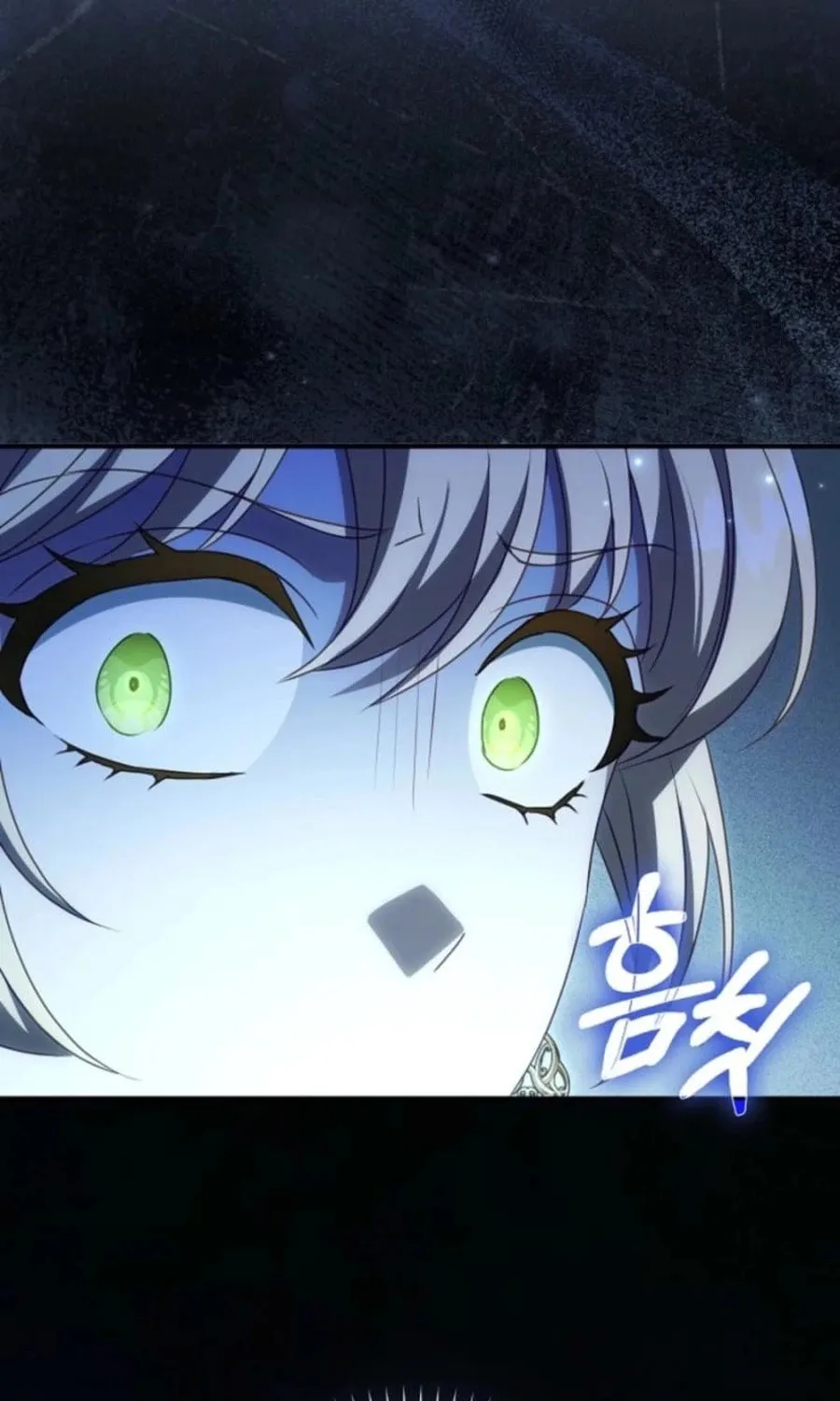 The Secret of the Lovely Duchess Chapter 52 page 28 - 