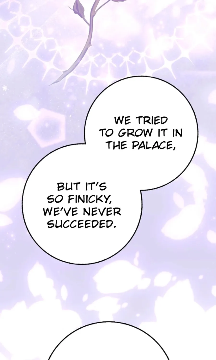 The Secret of the Lovely Duchess Chapter 61 page 52 - 