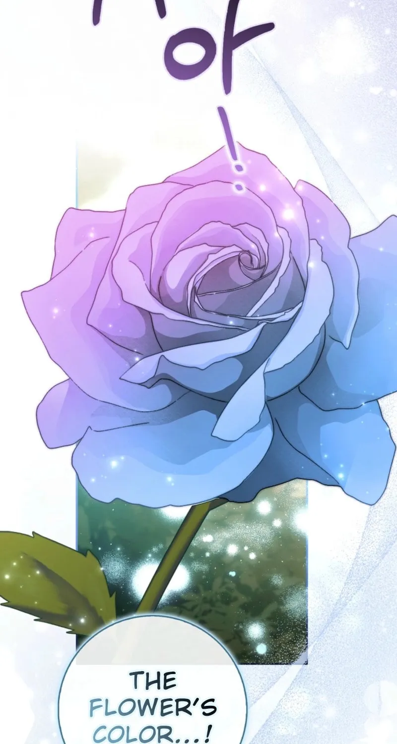 The Secret of the Lovely Duchess Chapter 63 page 18 - 
