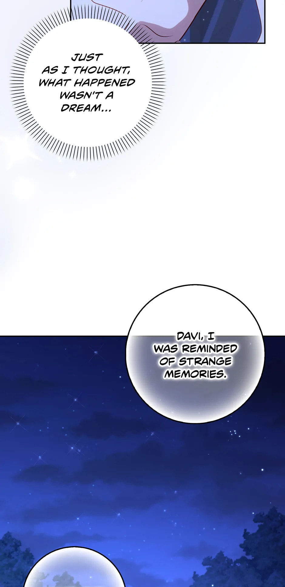 The Secret of the Lovely Duchess Chapter 70 page 25 - 