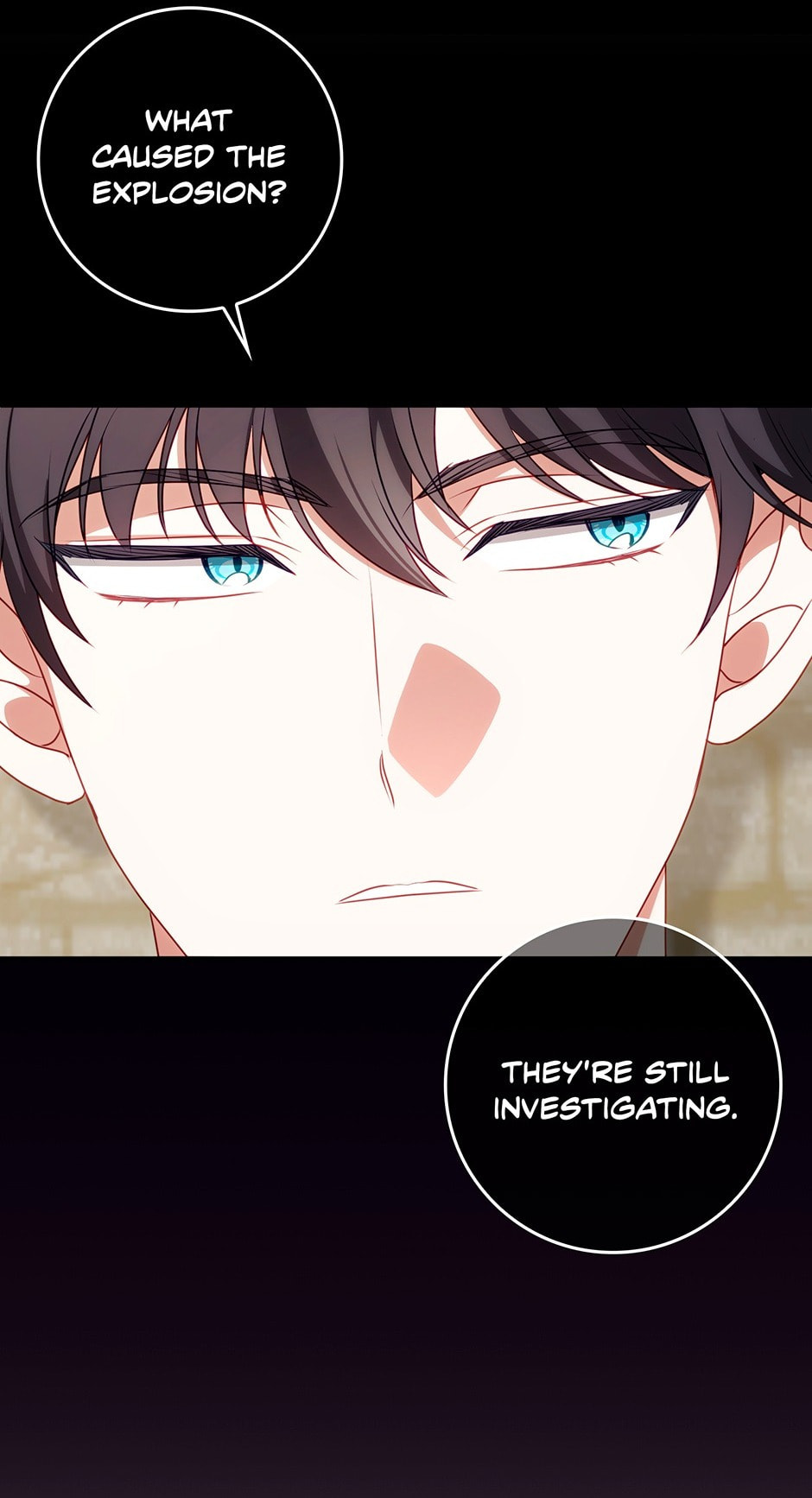 The Secret of the Lovely Duchess Chapter 75 page 77 - 