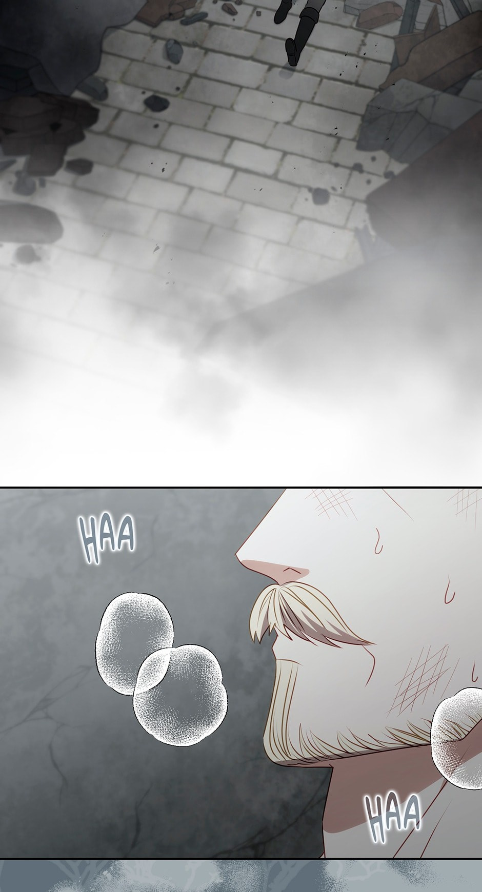 The Secret of the Lovely Duchess Chapter 76 page 3 - 