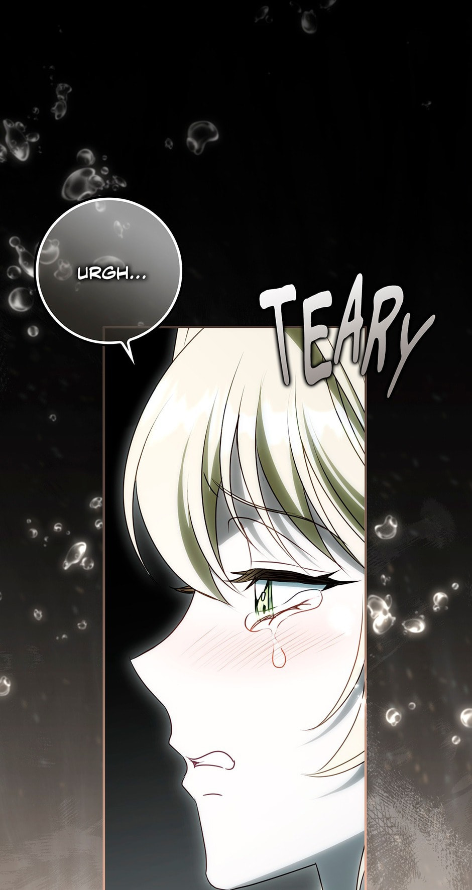 The Secret of the Lovely Duchess Chapter 78 page 29 - 